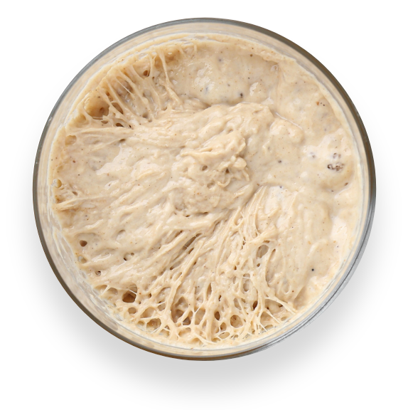 Schüssel mit rohem Sauerteig aus der Vogelperspektive.