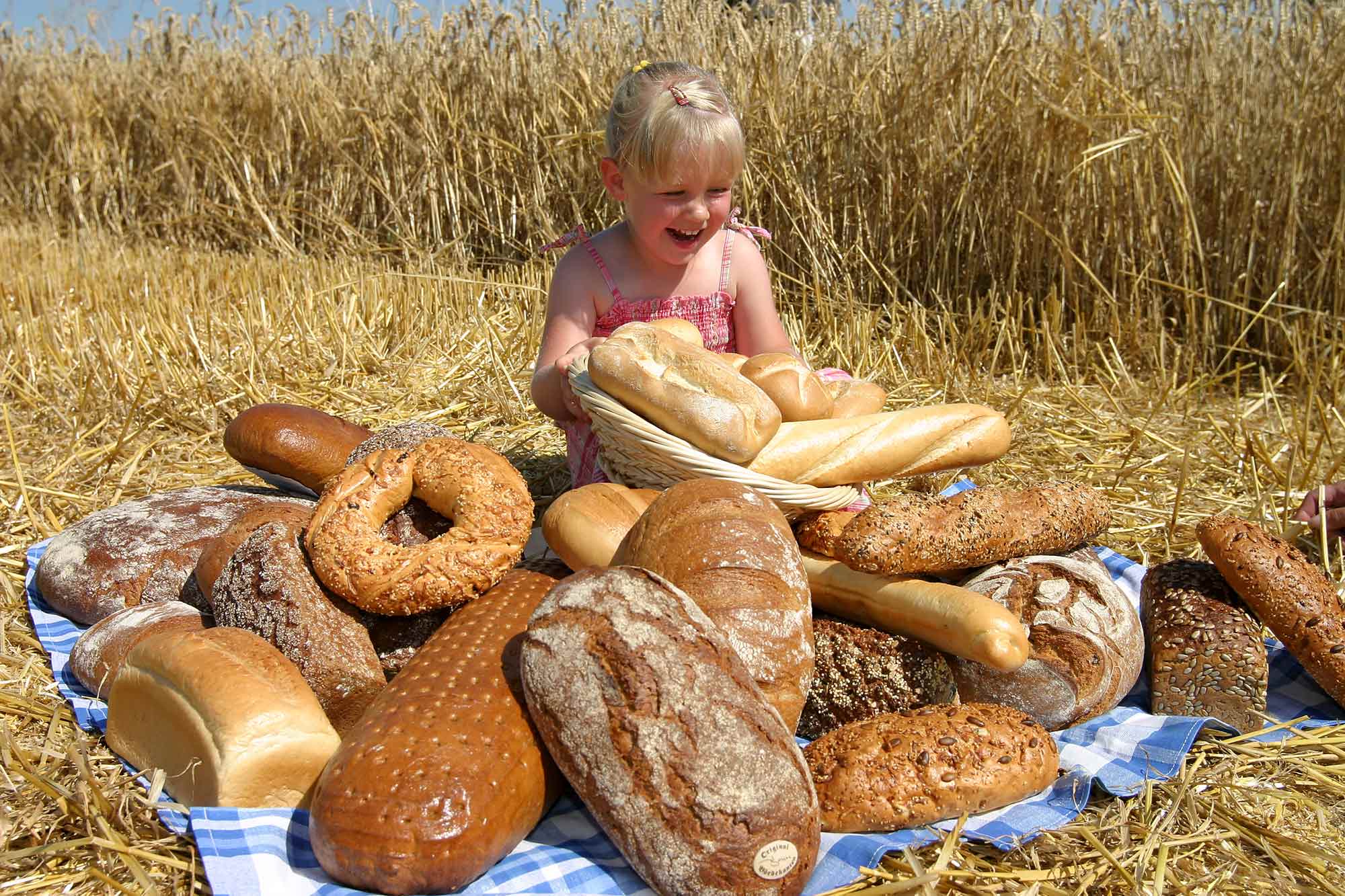 Ein kleines Mädchen ca. 5 Jahre alt sitzt lächelt auf einer Picknickdecke mit ganz vielen verschiedenen Broten in einem Weizenfeld.